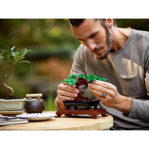 LEGO 10281 Icons  Bonsai fa