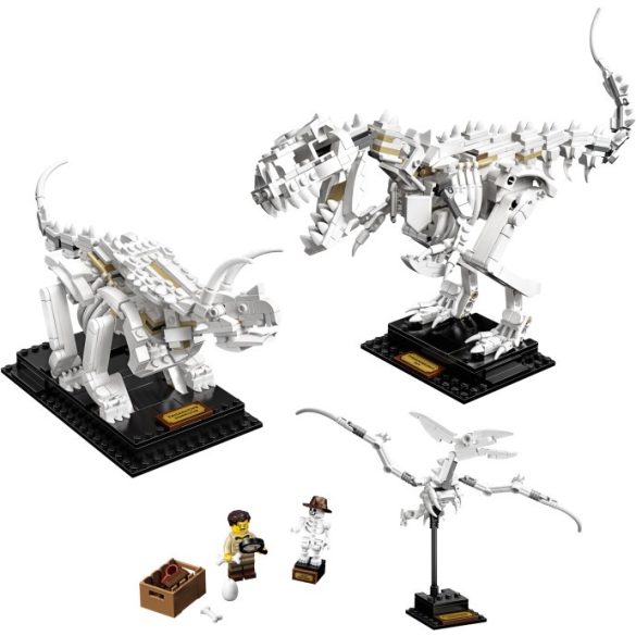 LEGO 21320 Ideas Dinoszaurusz maradványok