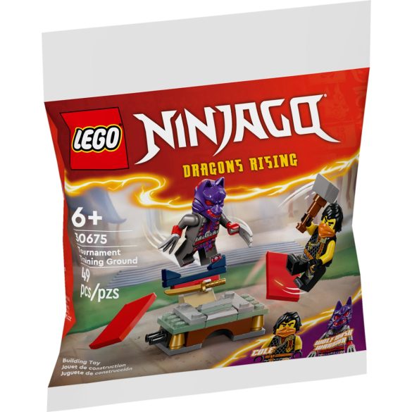 LEGO 30675 Ninjago A bajnokok gyakorlótere